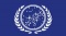 Starfleet flag.jpg