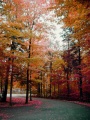 Thumbnail for version as of 10:22, 31 December 2007