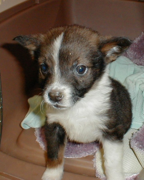 File:Sally brand new.jpg